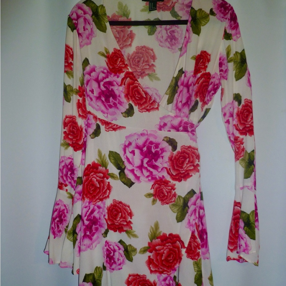 Forever 21 Floral Mini Dress - Pink and Green